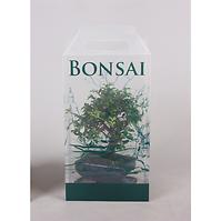Bonsai Giftpack 12/30
