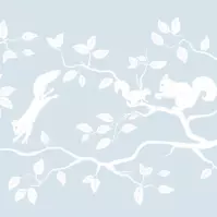 Folia okienna  2160031 0,450 x  15 m