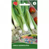 Cebula siedmiolatka Winter Nest