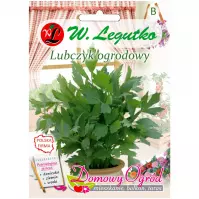 Lubczyk ogrodowy