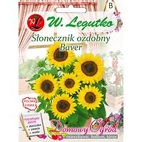 Słonecznik ozdobny karłowy pojedyńczy Baver