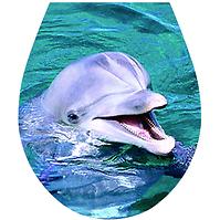 Naklejka 3D na deskę sedesową delfin