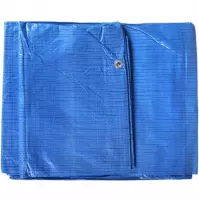 Plandeka z oczkami 6x10 m