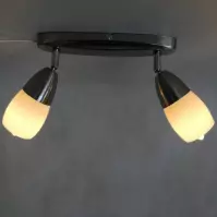 Lampa R5018-2b Satyna chrom LS2