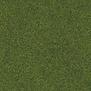 Sztuczna trawa Prado rolka 100cm x 200cm