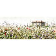 Obraz canvas 45x140 st502 grasses