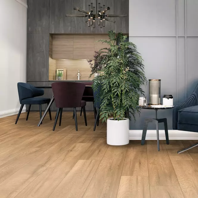 Panele podłogowe Dąb Alvin 8mm AC4 Go Floor Z209