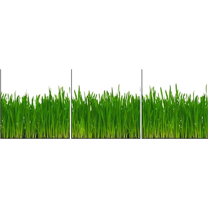Panel Szklany 60/180 Grass 3-Elem