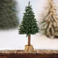 Choinka świerk na pniu 220 cm