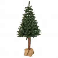 Choinka świerk na pniu 190 cm