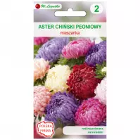 Aster chiński peoniowy mieszanka