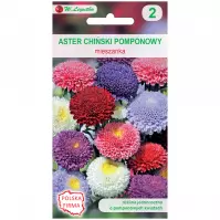 Aster chiński pomponowy mieszanka