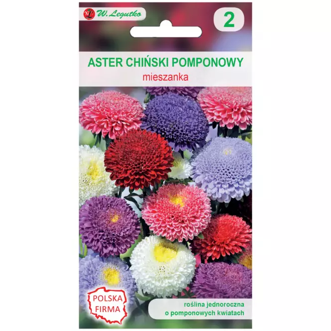 Aster chiński pomponowy mieszanka