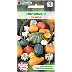 Dynia ozdobna mieszanka