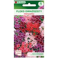 Floks gwiaździsty mieszanka