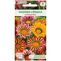 Gazania lśniąca mieszanka