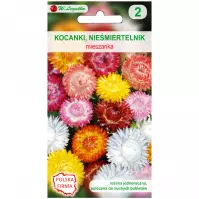 Kocanki. Nieśmiertelnik - wysokie mieszanka