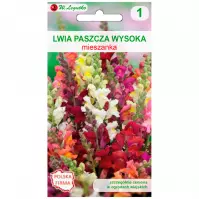 Lwia paszcza wysoka mieszanka