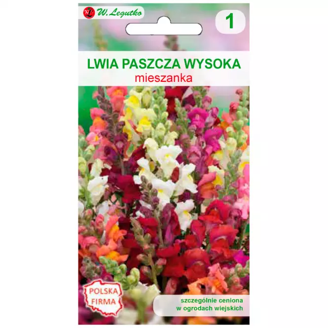 Lwia paszcza wysoka mieszanka