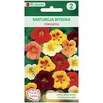 Nasturcja wysoka mieszanka
