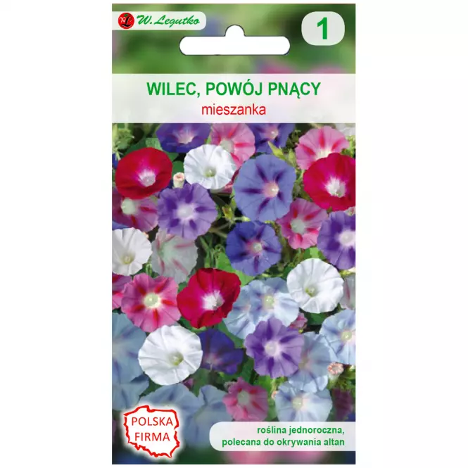 Wilec. Powój pnący mieszanka