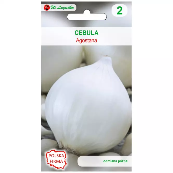Cebula agostana - łuska biała. Śr. Wczesna