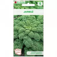 Jarmuż halbhoher grüner krauser - śr.wysoki. Kędzierzawy. Zielonolistny