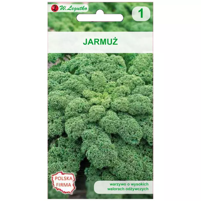 Jarmuż halbhoher grüner krauser - śr.wysoki. Kędzierzawy. Zielonolistny