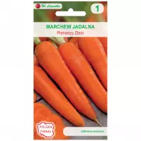 Marchew jadalna pierwszy zbiór - wczesna