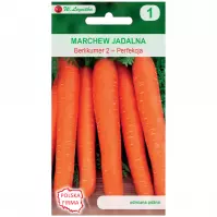 Marchew jadalna berlikumer 2 - perfekcja - późna