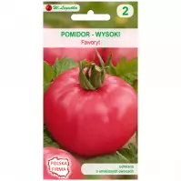 Pomidor gruntowy wysoki faworyt - owoce bardzo duże. Mięsiste