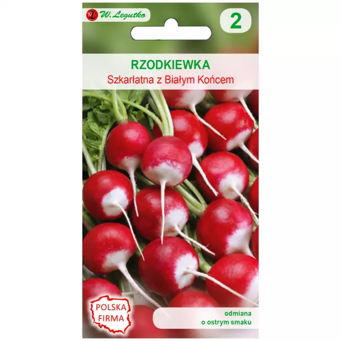 Rzodkiewka szkarłatna z białym końcem - okragła. Czerwona z białym końcem