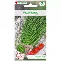 Szczypiorek medium leaf