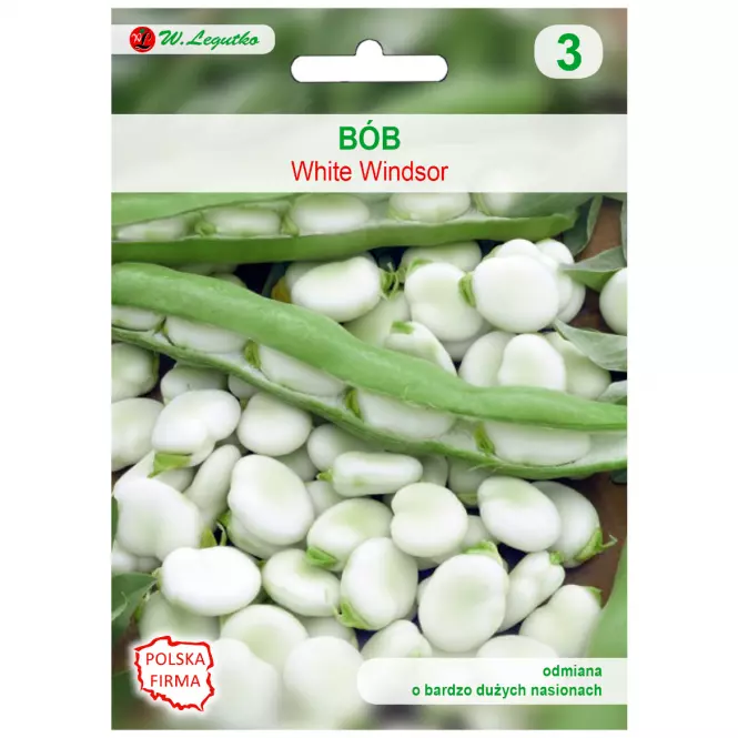 Bób white winsdor. Windsor biały gde