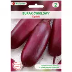 Burak ćwikłowy opolski