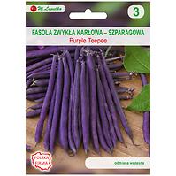 Fasola zwykła szparagowa karłowa fioletowostrąkowa purple teepee