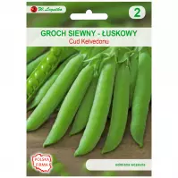 Groch łuskowy o nasionach pomarszczonych cud kelvedonu