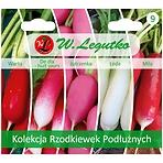 Kolekcja rzodkiewek podłużnych