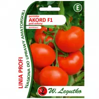 Pomidor akord f1 pod osłony akord f1 - czerwone