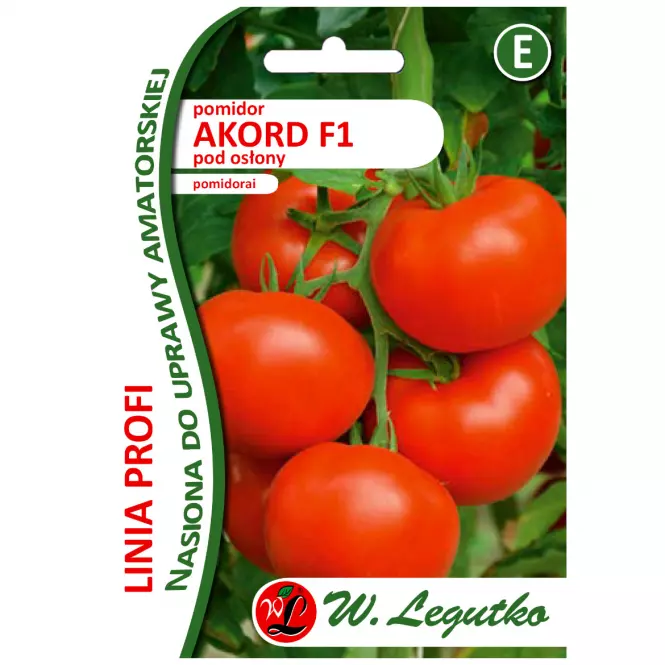 Pomidor akord f1 pod osłony akord f1 - czerwone