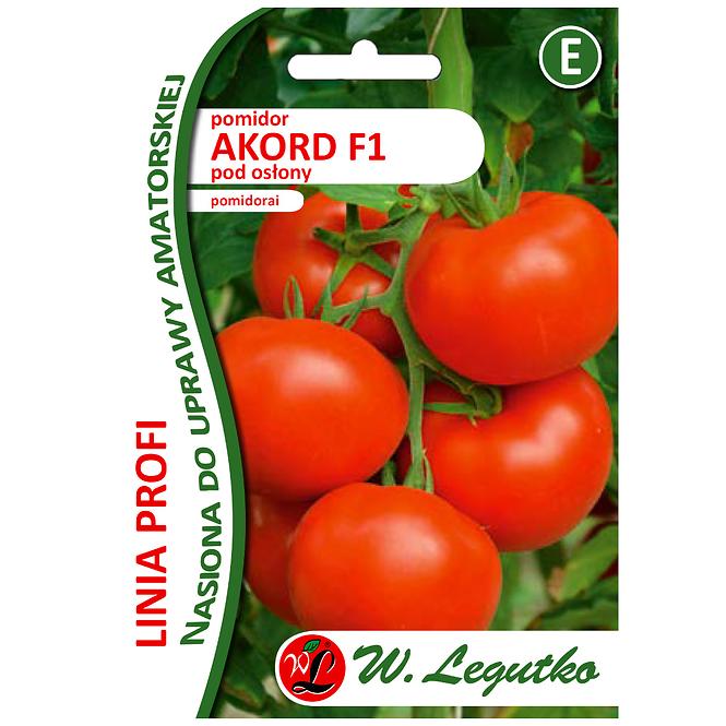 Pomidor akord f1 pod osłony akord f1 - czerwone