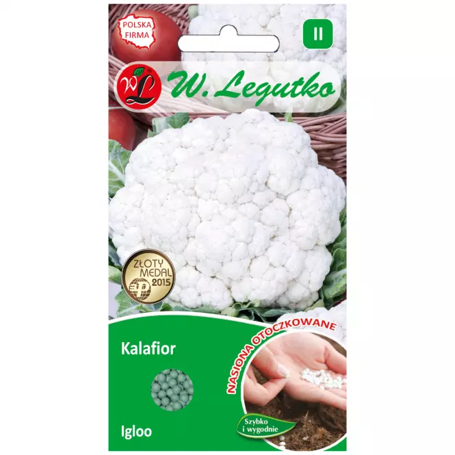 Kalafior igloo - róża biała. Wczesna