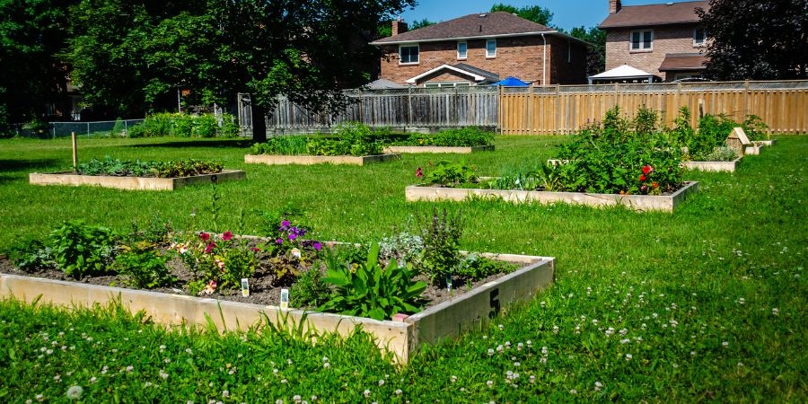 Jak przygotować ziemię do ogródka warzywnego?
