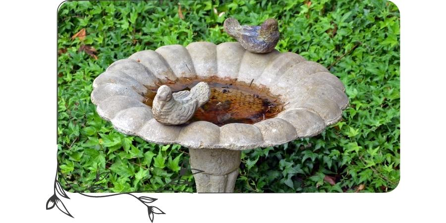 kamień w ogrodzie - fontanna dla ptaków
