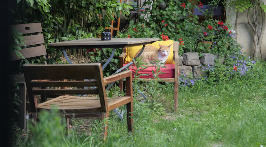 krzesla i stol ogrodowy