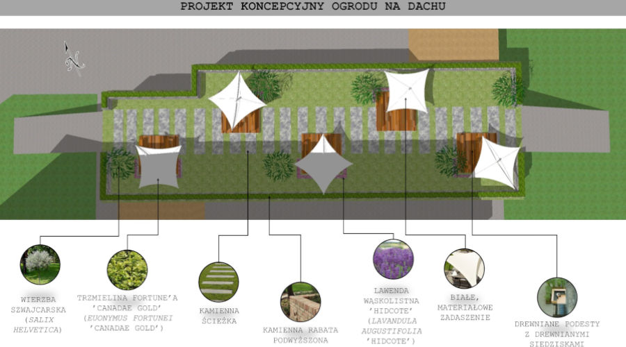 projekt koncepcyjny ogrodu na dachu