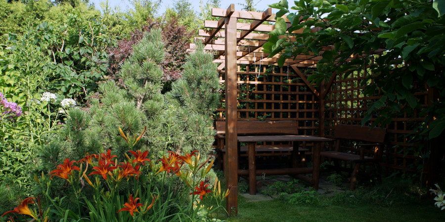 pergola-altana z drewna  i rośliny chroniące przed słońsem 