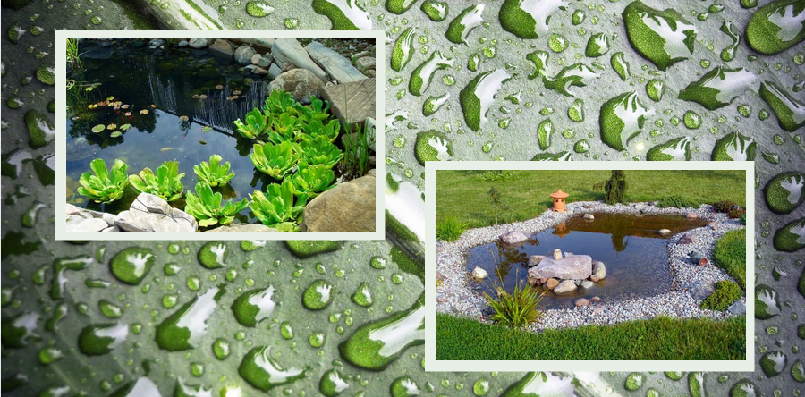 Oczko wodne - rozwiązanie w obliczu suszy - pomaga przeciwdziałać suszy 